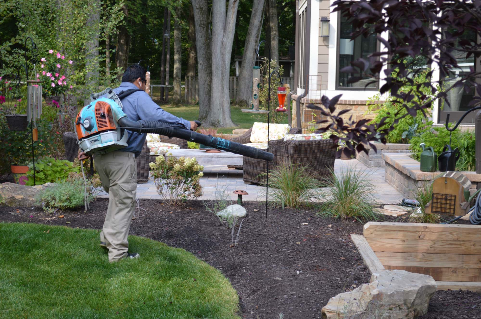 Leaf Blowing