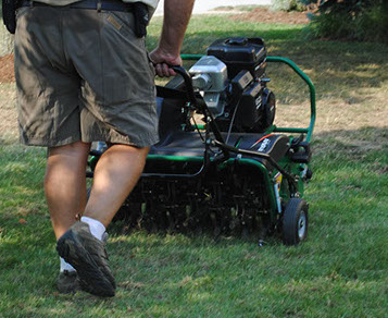 Lawn Aerating